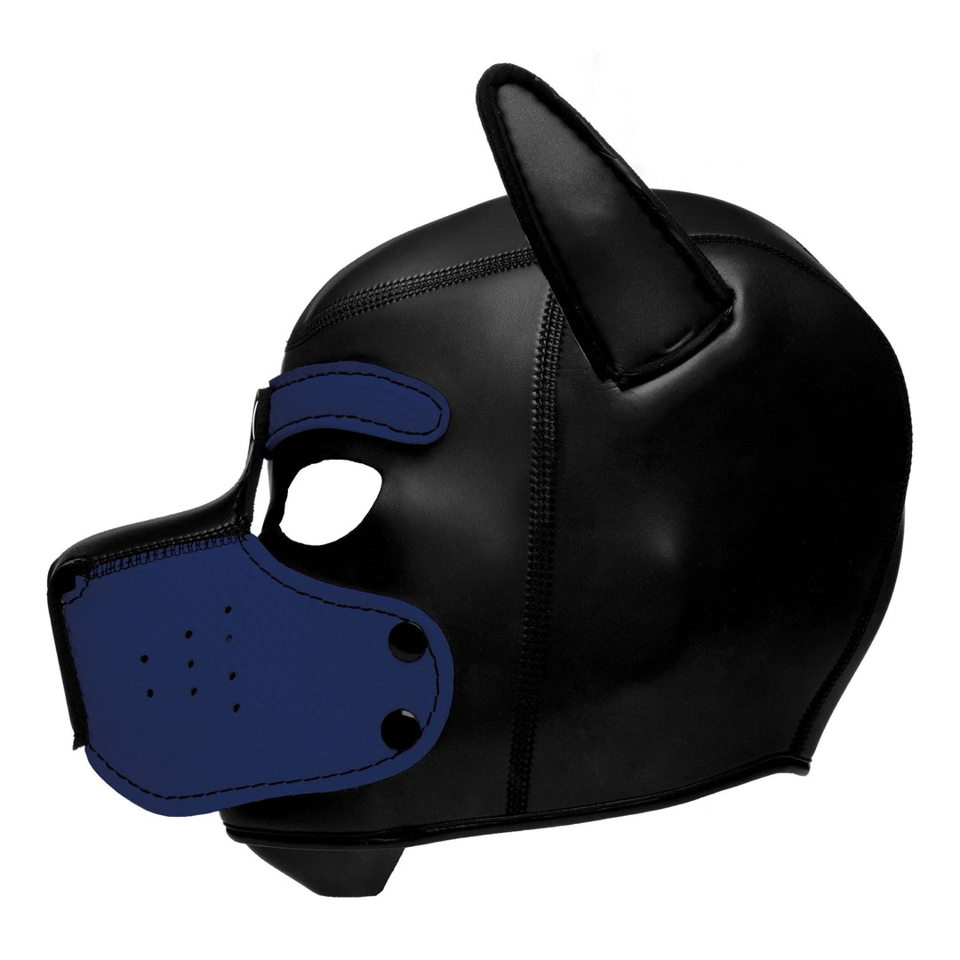 Spike Neoprene Puppy Hood - Blue