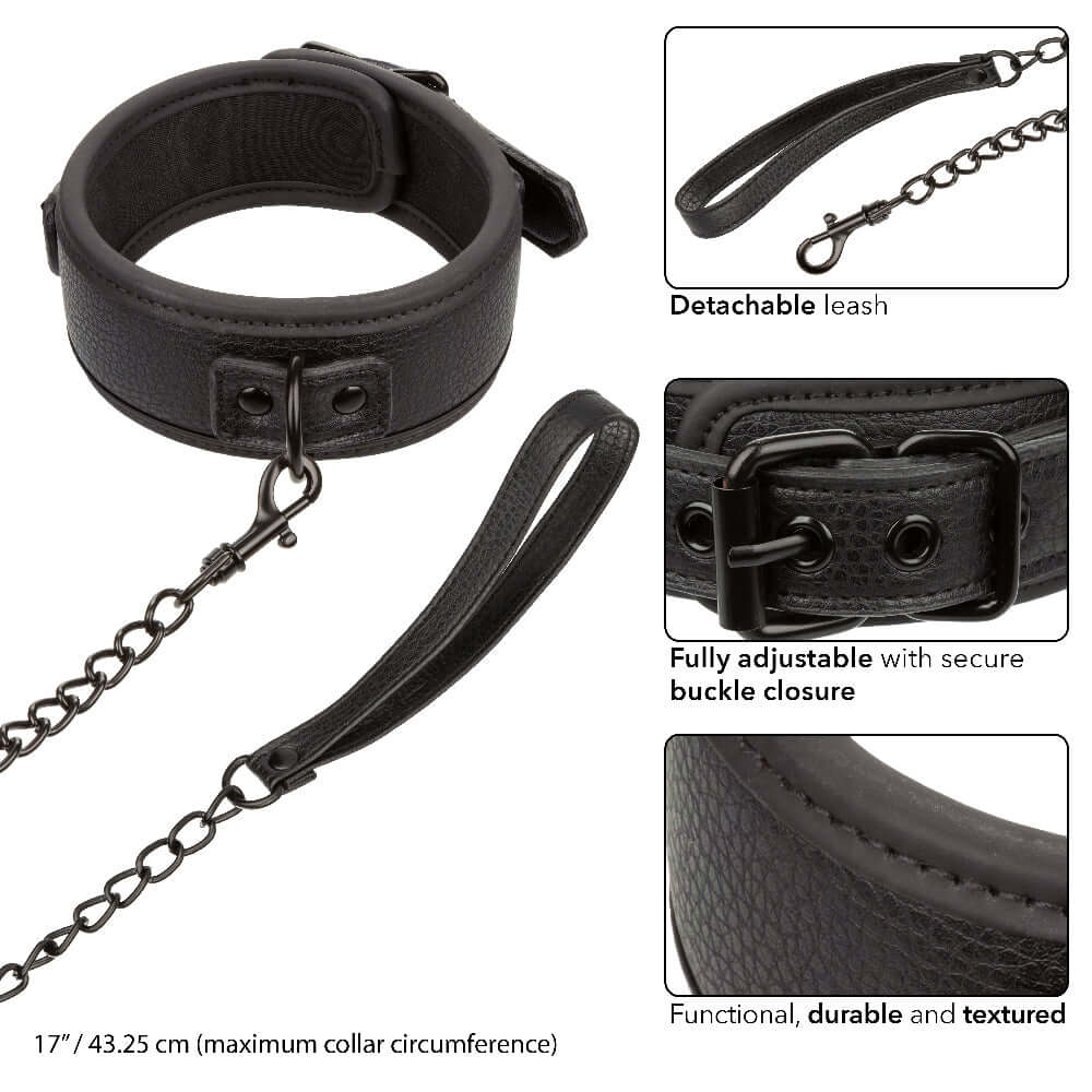 Nocturnal Collection  Collar and Leash - Black