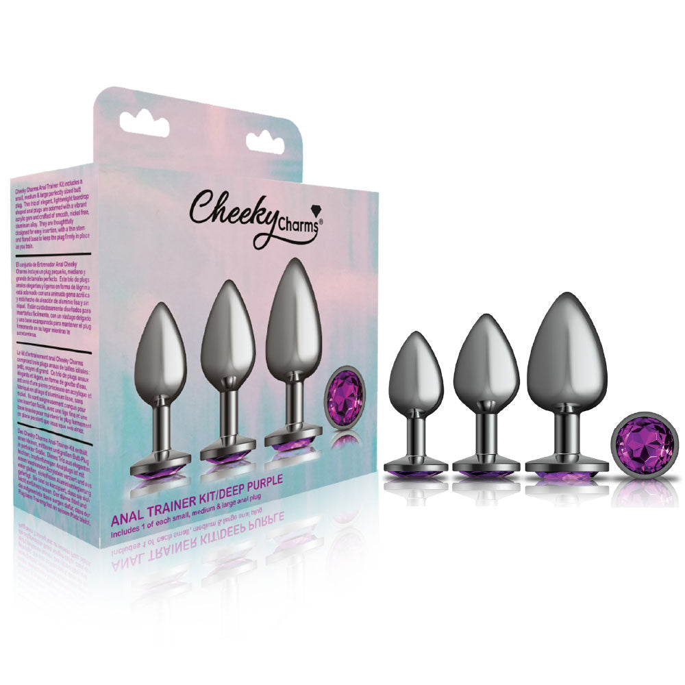 Cheeky Charms - Metal Butt Plug Gunmetal - Round - Deep Purple - Anal Trainer Kit