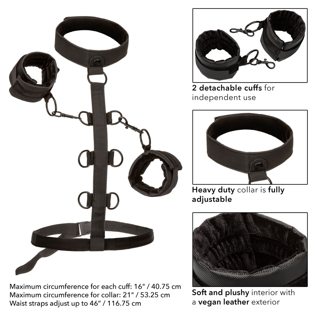 Boundless Collar Body Restraint - Black