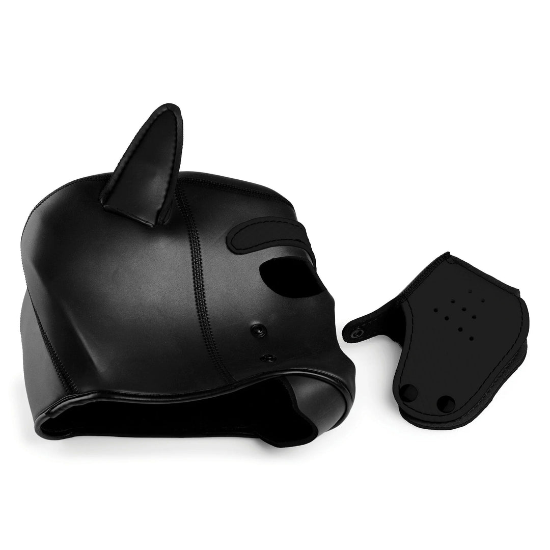 Spike Neoprene Puppy Hood - Black