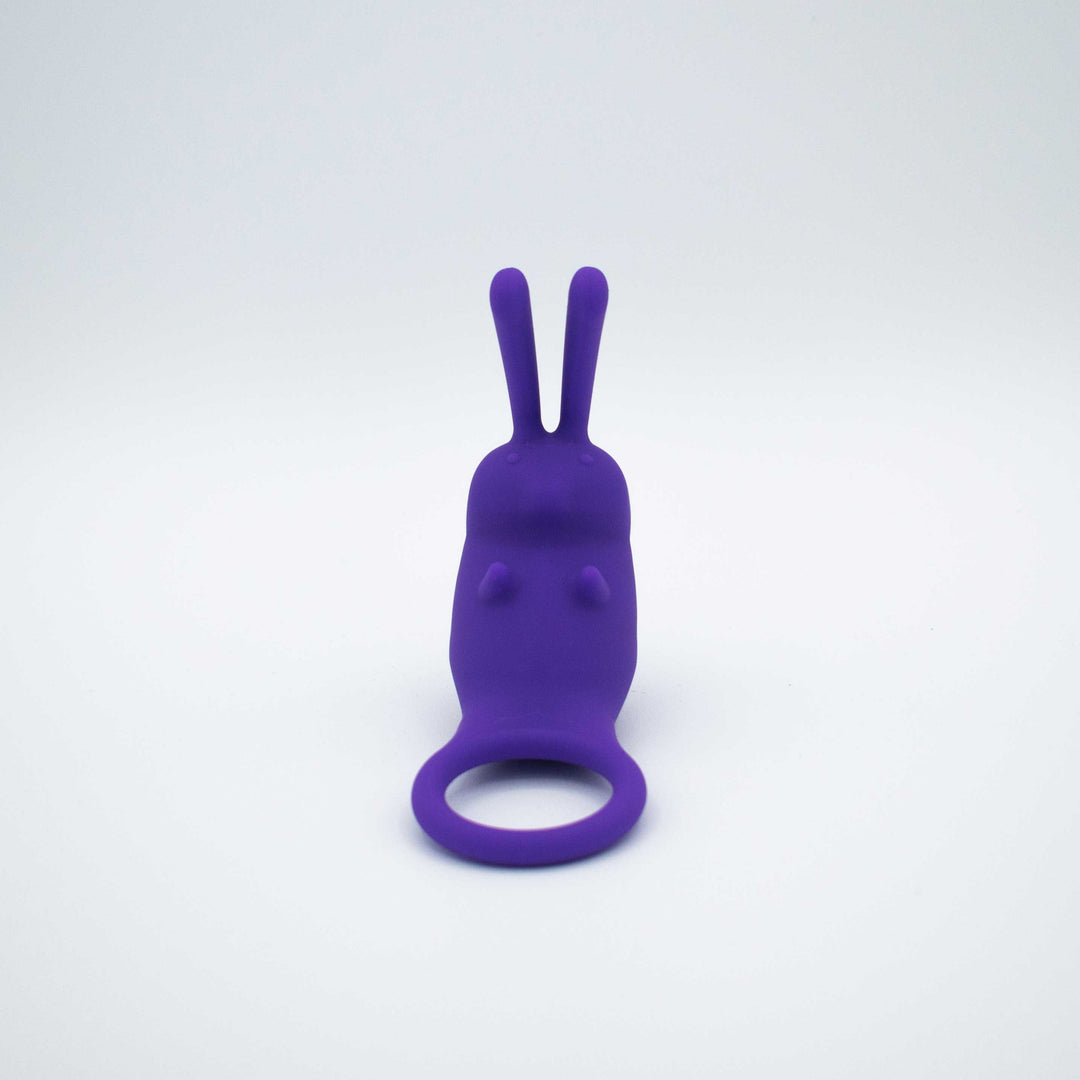 The Cock Hopper Cock Ring and Bullet Vibrator -  Purple